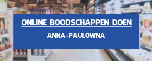 boodschappen bezorgen Anna Paulowna