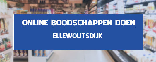 boodschappen bezorgen Ellewoutsdijk