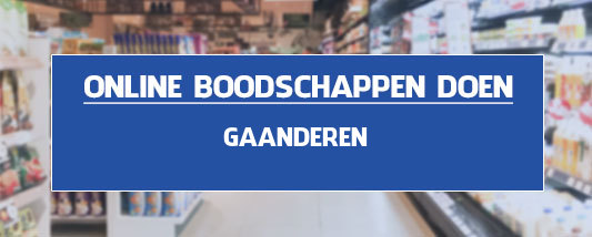 boodschappen bezorgen Gaanderen