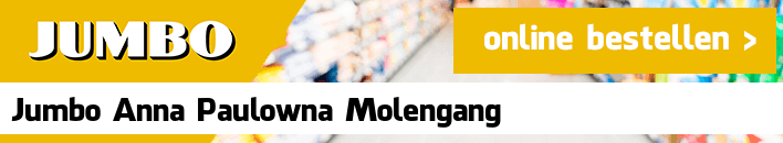 boodschappen bezorgen Jumbo Anna Paulowna Molengang