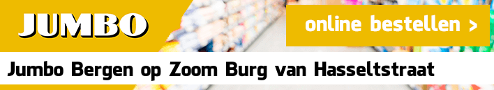 boodschappen bezorgen Jumbo Bergen op Zoom Burg. van Hasseltstraat